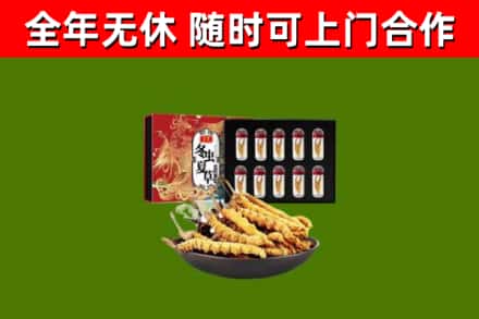 新竹市回收冬虫夏草价格